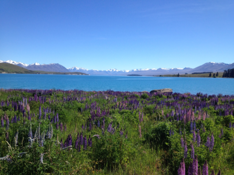 Lake Tekapo - Paradise on Earth !