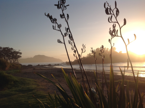 Zuidereiland - Heaven on Earth...