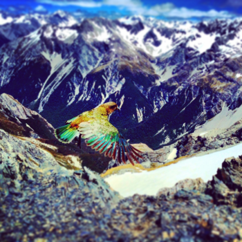 Rondreis Nieuw-Zeeland in zes weken - Kea Avelange Peak