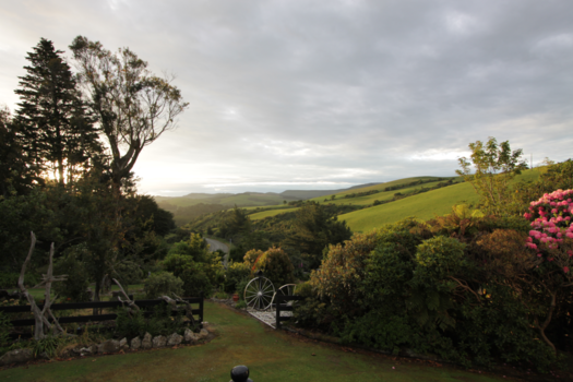 Zuidereiland - Avond in de Catlins