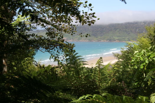 Zuidereiland - Strand nabij Cathedral Caves