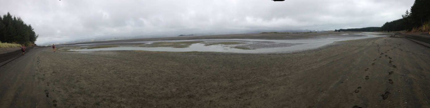 New Zealand International Arts Festival - Dromen!!!🤩