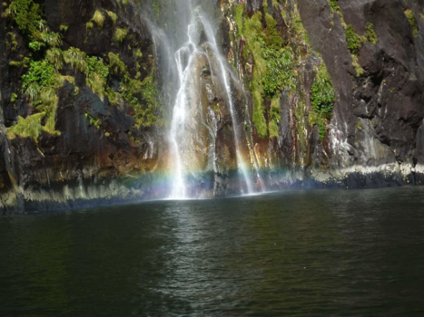 Rondreis Nieuw-Zeeland in zes weken - Vakantie supper mooi gebied