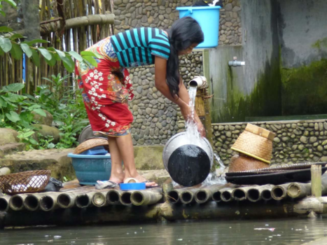 Rondreis Nieuw-Zeeland in zes weken - Javaans afwasje