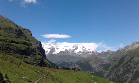 Rondreis Nieuw-Zeeland in zes weken - prachtig Val D'Aosta
