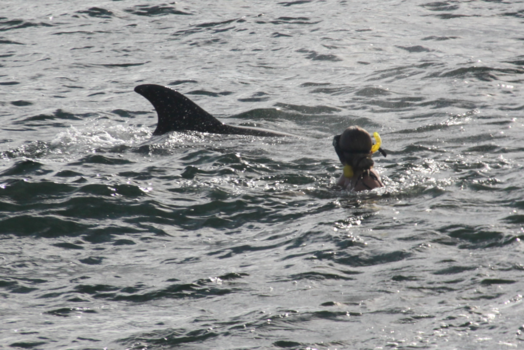 Bay of Islands - Zwemmen met vriendjes