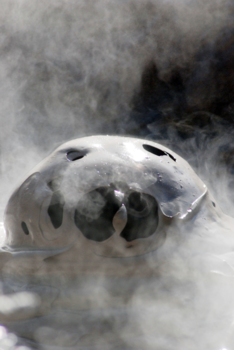 Rotorua - Spooky Mud