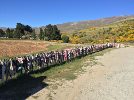 Wizard of New Zealand - Bradona breast  cancer foundation