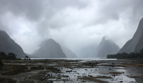 Milford Sound Highway - The Sound of Milford