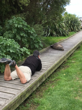 Kaikoura - The making of.
