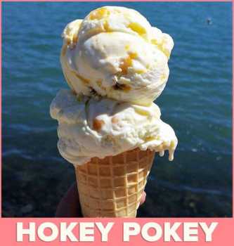 The Official Centre of New Zealand - Mijn droomijsje (reis)