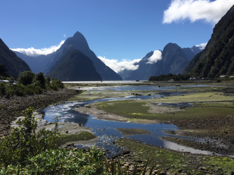 Rondreis Nieuw-Zeeland in zes weken - Milford Sound
