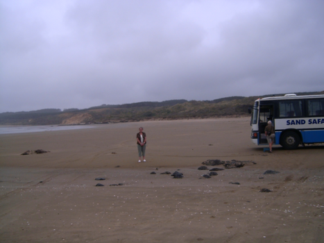 The Official Centre of New Zealand - ninetymile beach