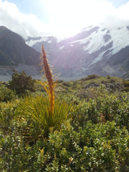 Mount Cook - Wandeling bij Mount Cook, Nieuw Zeeland