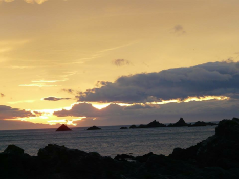 Wellington (Nieuw-Zeeland)