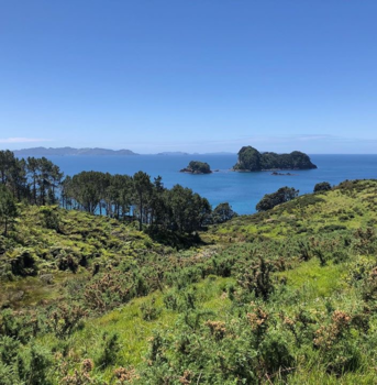 Milford Sound Highway - DOWN UNDER