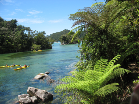 Zuidereiland - Prachtige natuur Abel Tasman park