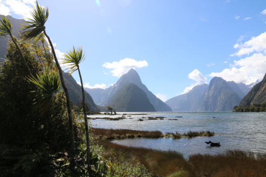 Mount Taranaki - Milford Sound