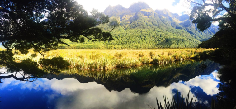 Rondreis Nieuw-Zeeland in zes weken - Mirror Lakes