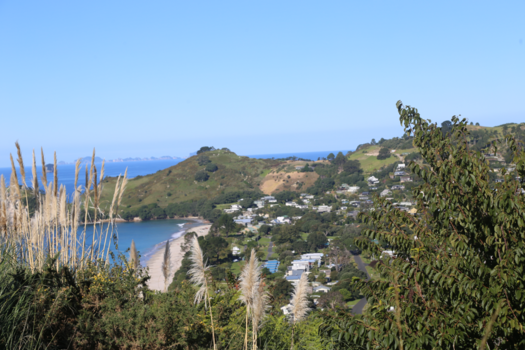 Wizard of New Zealand - New Zealand