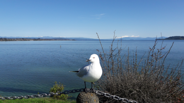 Lake Taupo - Lake taupo nieuw zeeland