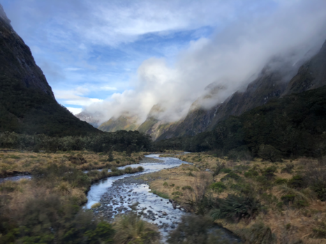 Fiordland National Park - New Zealand; pure, rough, beautiful