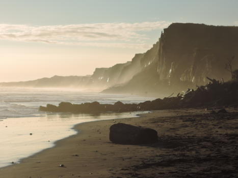 New Zealand International Arts Festival - Kai Iwi