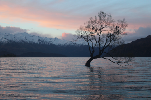 Wanaka - Dreamy skies & nature