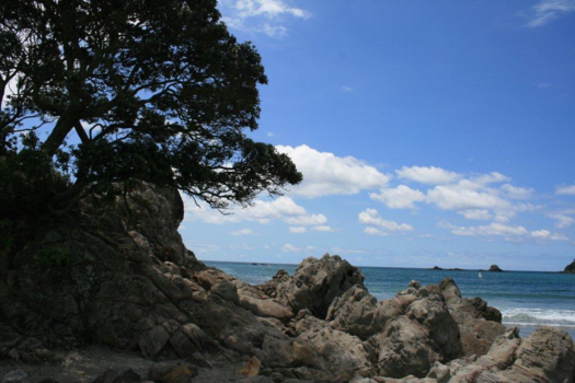 National Aquarium of New Zealand - New Zealand