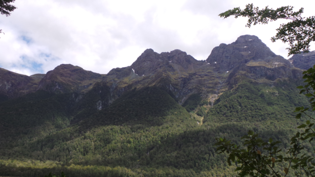 Wizard of New Zealand - rustgevend