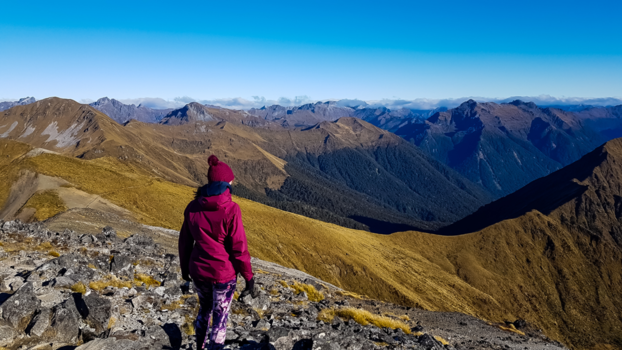 Kepler Track - On top of the World