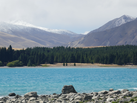 Lake Tekapo - Genieten