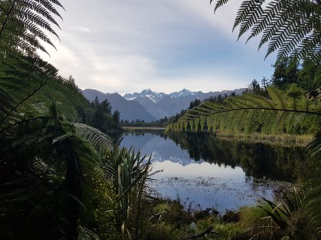 Lake Matheson - Goodmorning New Zealand