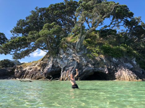 Great Barrier Island - Puur geluk en sprookjesboom