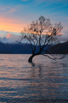 Wanaka - 'Most beautiful sunset ever'