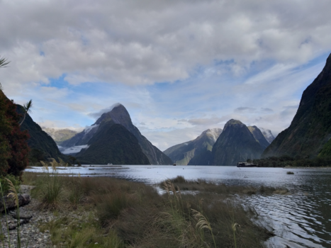 Milford Sound - Milford Sound