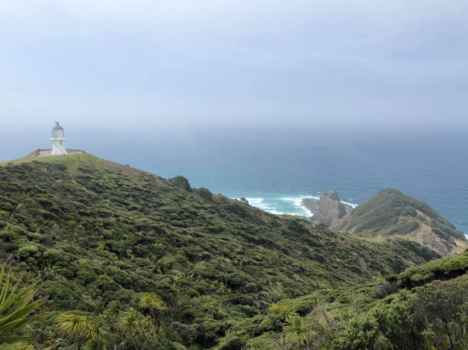 Cape Reinga - Northest point of New Zealand 📍✨