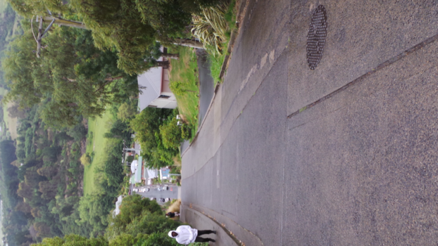 Zuidereiland - dunedin steilste straat