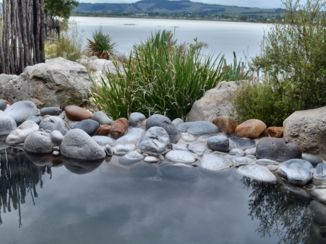 Rotorua - Polynesian Spa