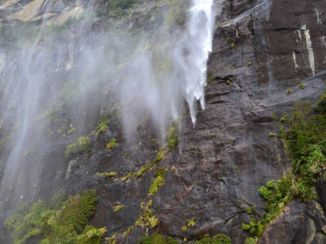 Milford Sound - Waterval