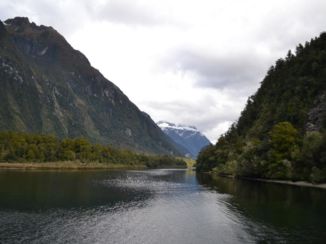 Milford Sound - Milford Sounds