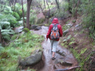 Abel Tasman National Park - Verregend wandelpad