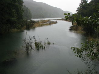 Abel Tasman National Park - Een doorkijkje