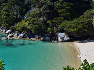 Abel Tasman National Park - Abel Tasman Coast Track