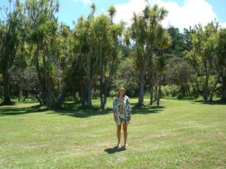 Zuidereiland - Hot water beach