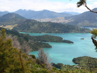 Zuidereiland - The Marlborough Sounds