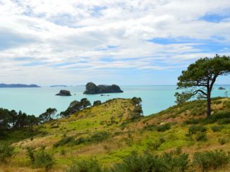 Noordereiland - Coromandel