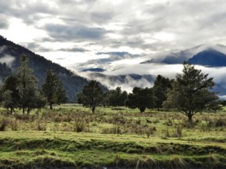 Lake Matheson - Lake Matheson
