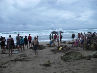 Coromandel Peninsula - Hot waterbeach