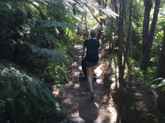 Abel Tasman National Park - Door de tropische bossen